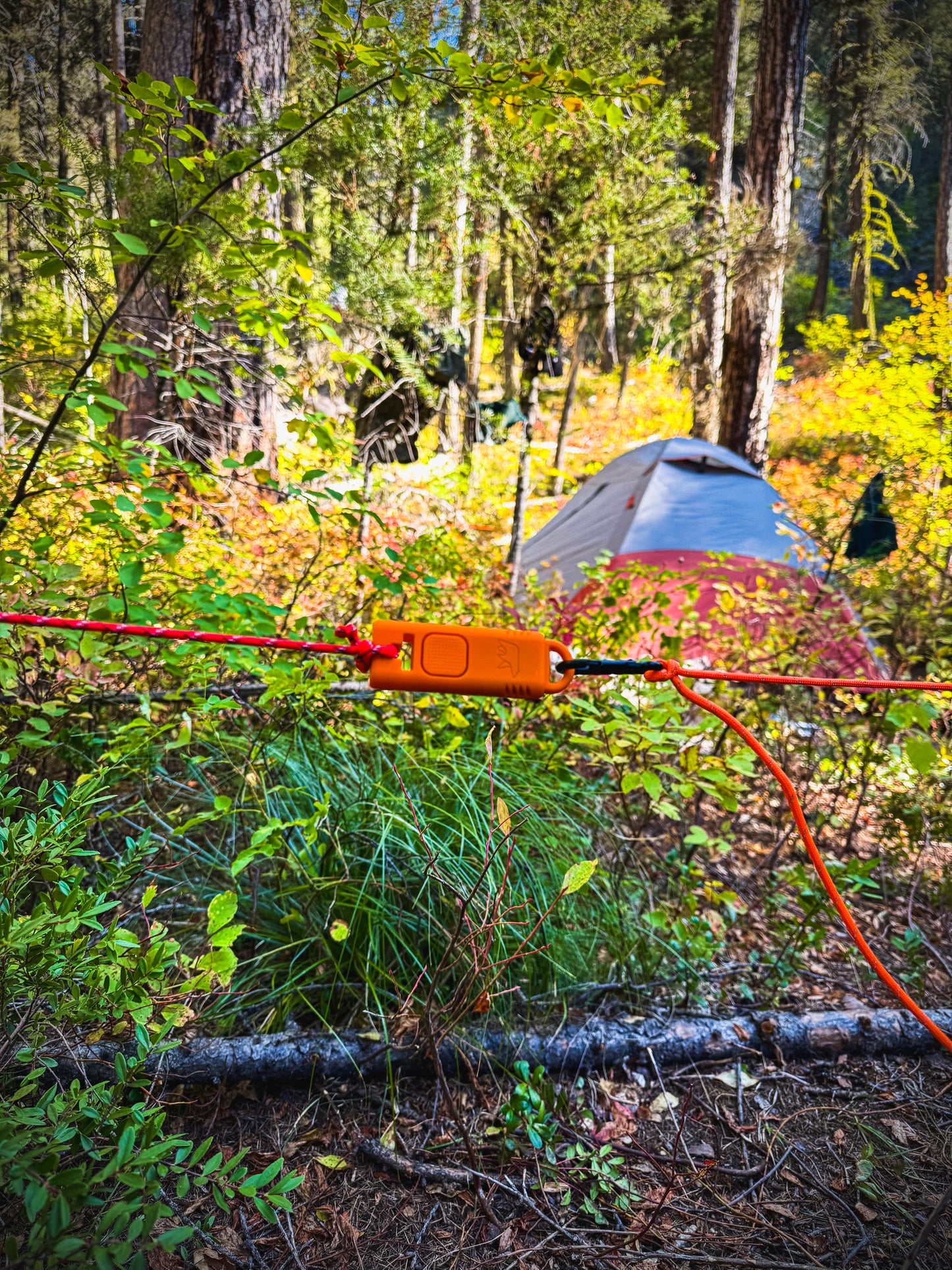 ADS Campsite Trip Alarm System